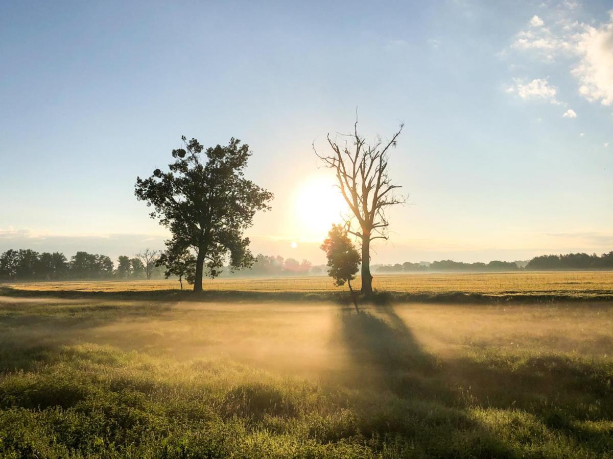 Dwor Gogolewo Nad Warta Bed and Breakfast Ksiaz Wielkopolski Exteriör bild