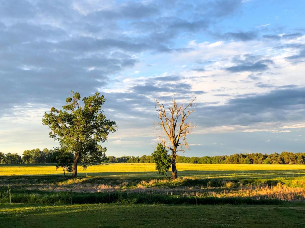 Dwor Gogolewo Nad Warta Bed and Breakfast Ksiaz Wielkopolski Exteriör bild