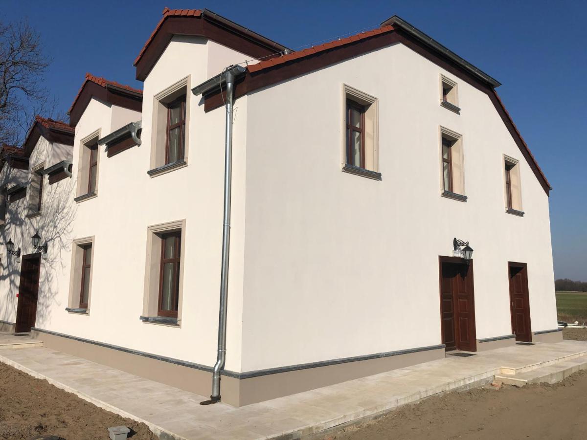 Dwor Gogolewo Nad Warta Bed and Breakfast Ksiaz Wielkopolski Exteriör bild